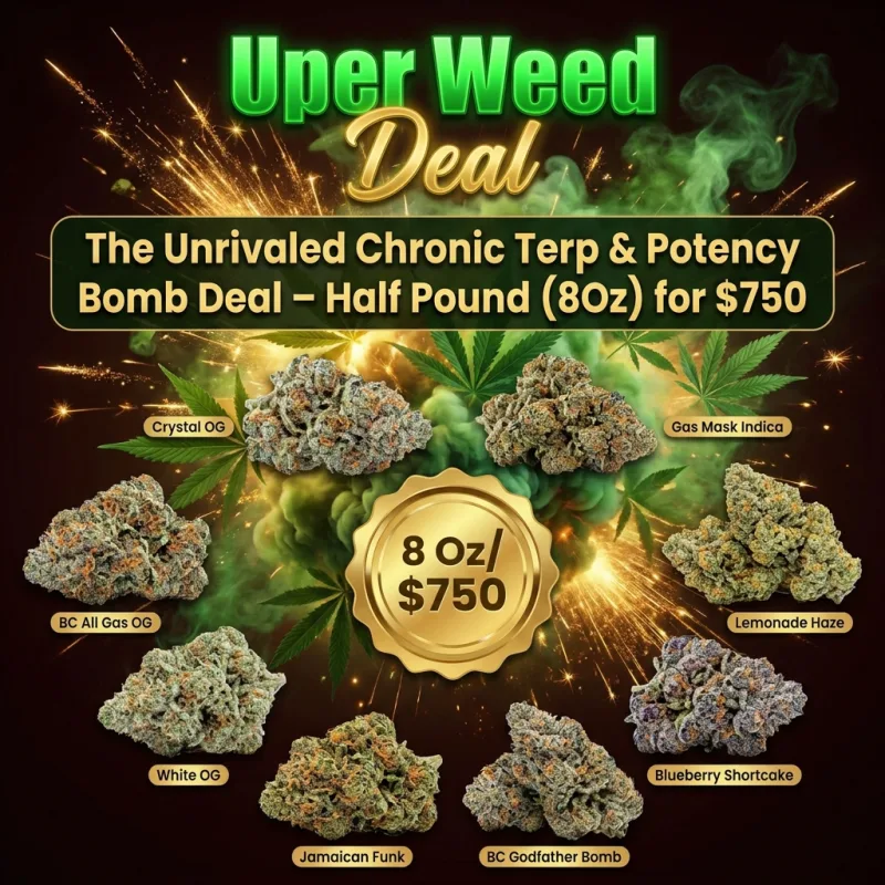 The Unrivaled Chronic Terp & Potency Bomb Deal – Half Pound ( 8Oz ) for $750
