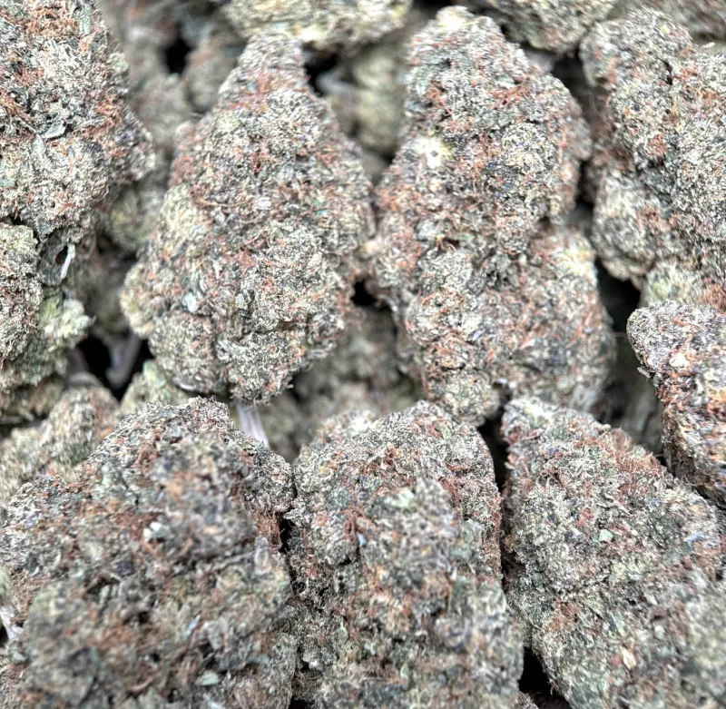 Astro Kush